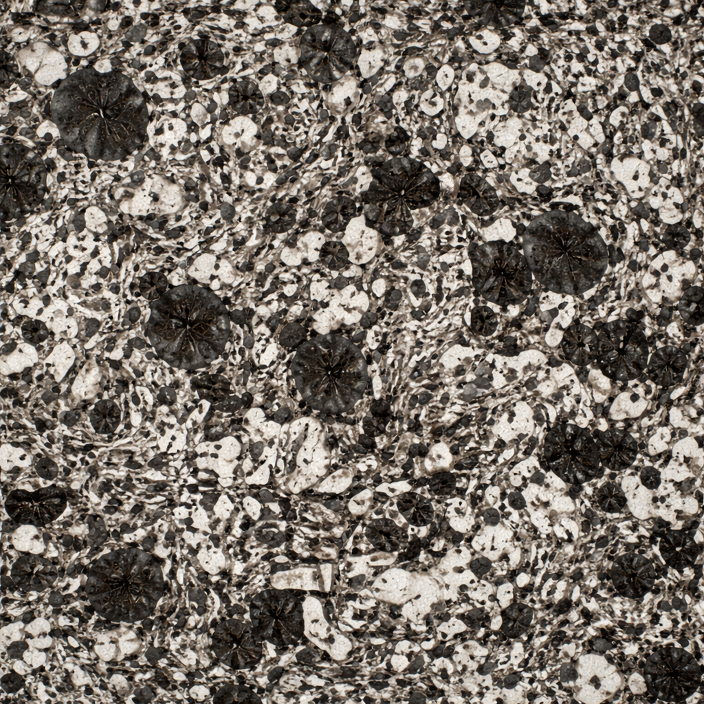 Alloyed Steel Microstructure